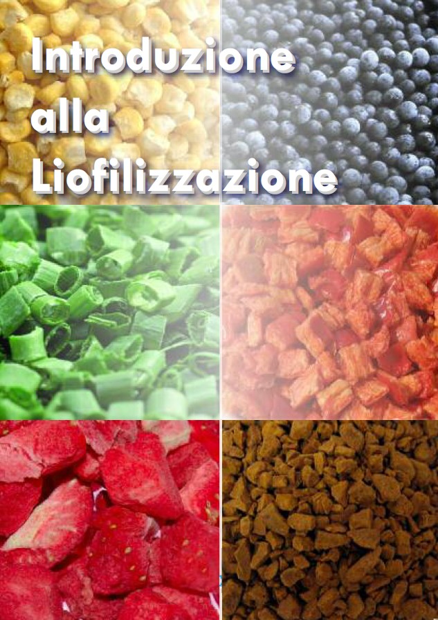 come liofilizzare un alimento